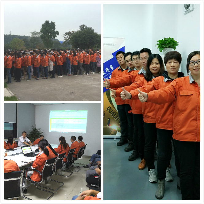 d6af7d225c2e4d84ac4efb332541136c