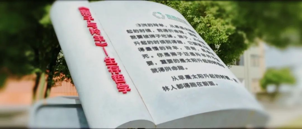 k豆钱包官方网站 - KDpay钱包